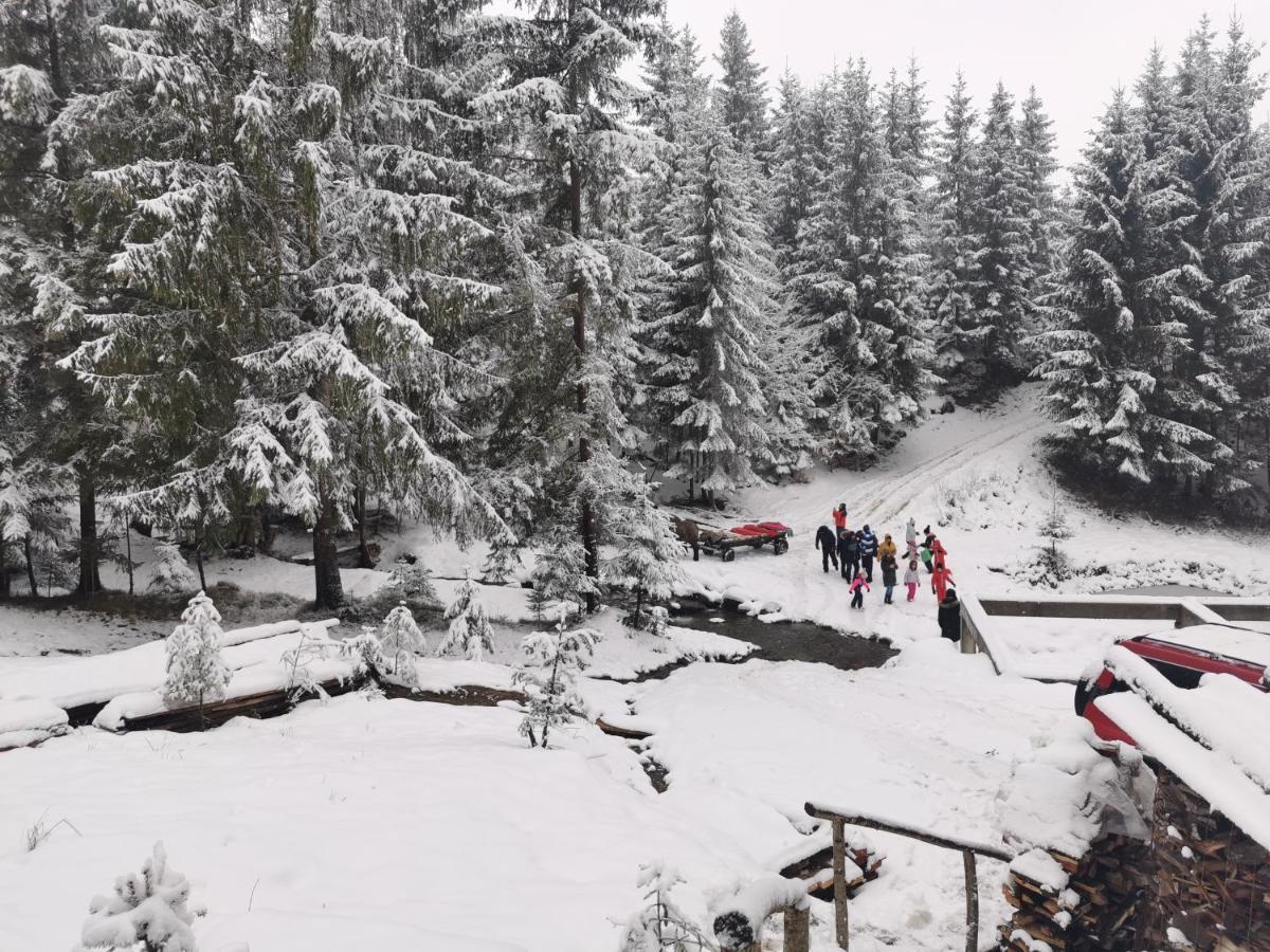 Alpina Panoramic Hotel Моисей Екстериор снимка